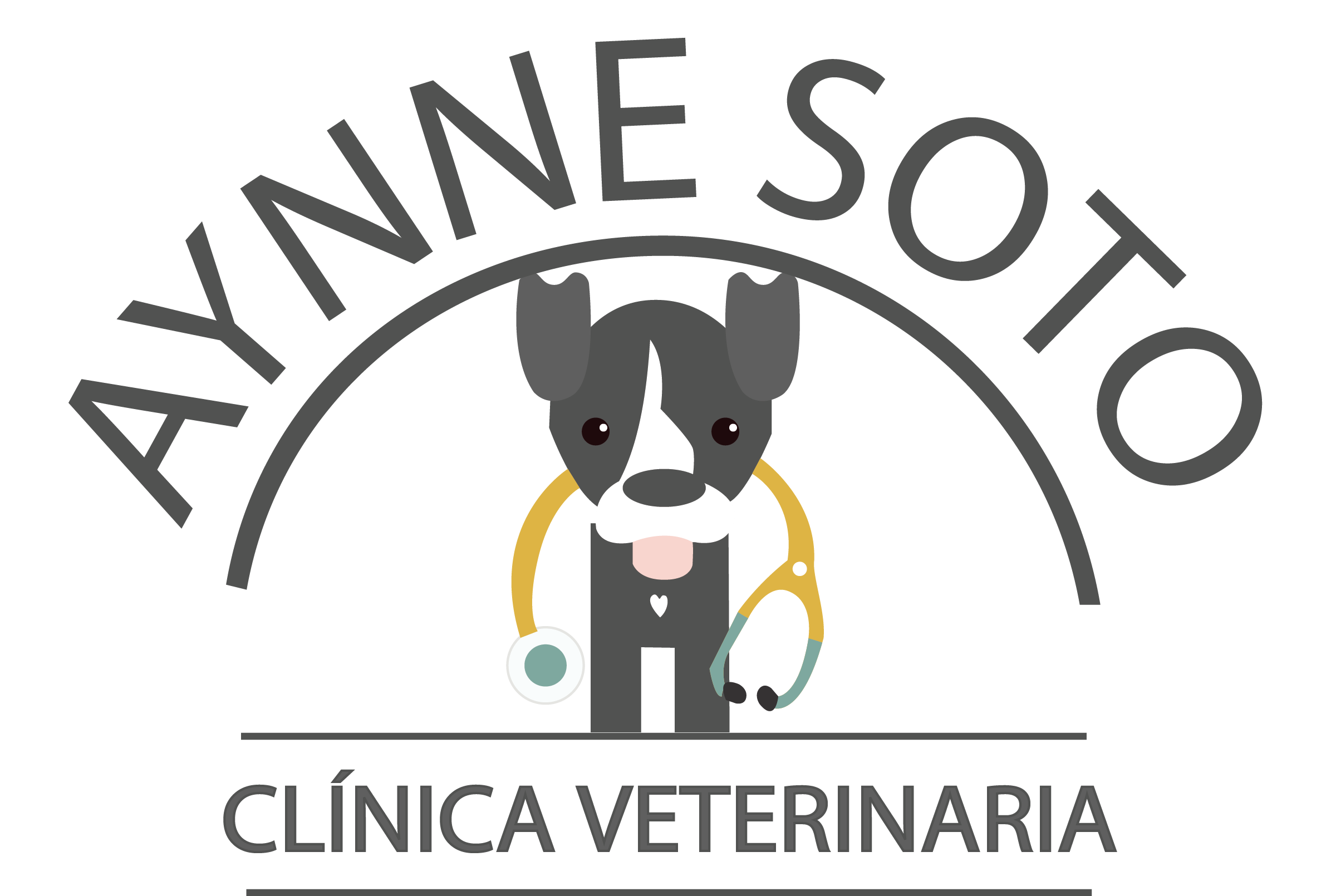 Aynne Soto Clínica Veterinaria